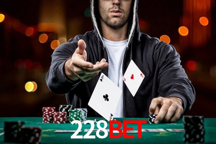 228bet